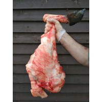 Надо ли вымачивать мясо лося и кабана?